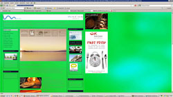 10044_z_bg_h_gruen_250.jpg